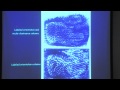 Lec 3: The laternal geniculate nucleus and the visual cortex