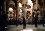 Hypostyle Hall of the Mosque of Cordoba, Spain.