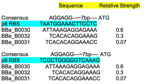 RBS characterization table.