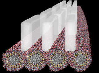 Synthetic molecules assemble into a structure that mirrors bone.