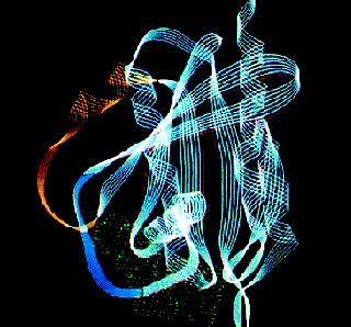 Three-dimensional structure of the ras protein.