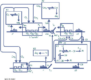 a diagram composed of purple lines, boxes, arrows, and green text, slightly resembling a circuit.