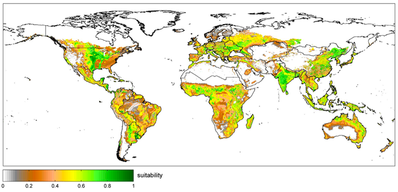 A map of crop suitability.