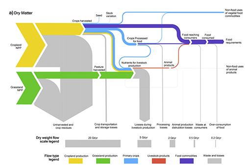 A color graph showing food loss.