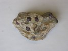 garnet mica schist.