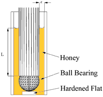 Honey filling an anular space.