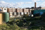 An urban garden overlooks apartment buildings.